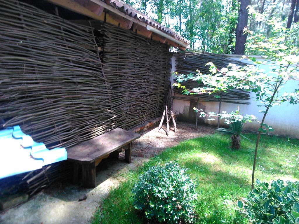 Kolkhida Resort & Spa Ureki Ngoại thất bức ảnh