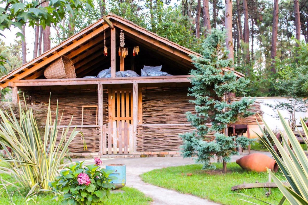 Kolkhida Resort & Spa Ureki Ngoại thất bức ảnh