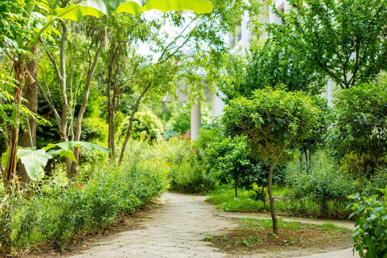 Kolkhida Resort & Spa Ureki Ngoại thất bức ảnh