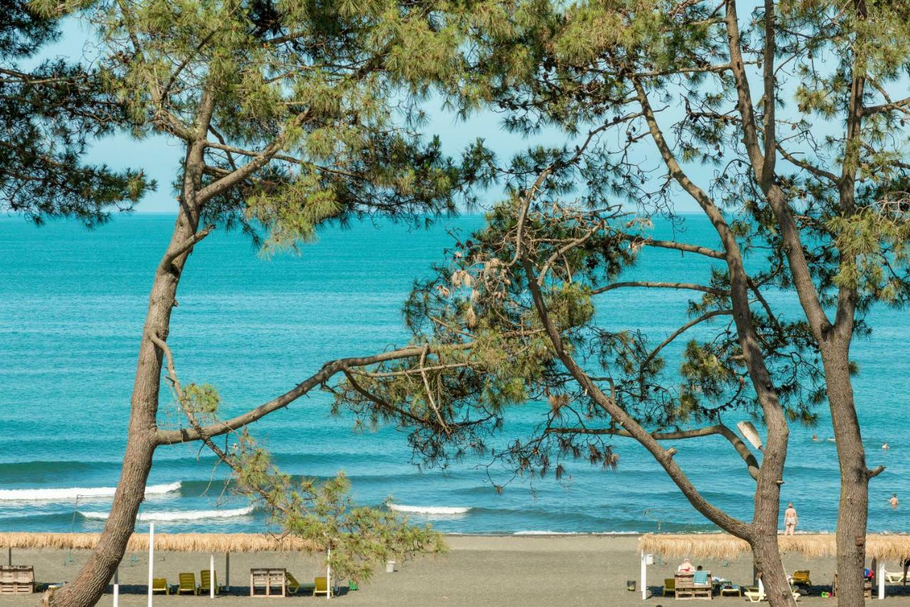 Kolkhida Resort & Spa Ureki Ngoại thất bức ảnh