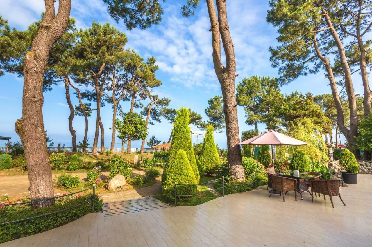 Kolkhida Resort & Spa Ureki Ngoại thất bức ảnh